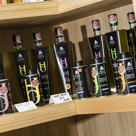 Hotel Mas De Boudan 4*