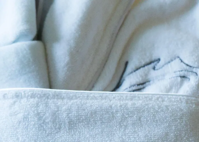 Mas De Boudan Hotel 4*