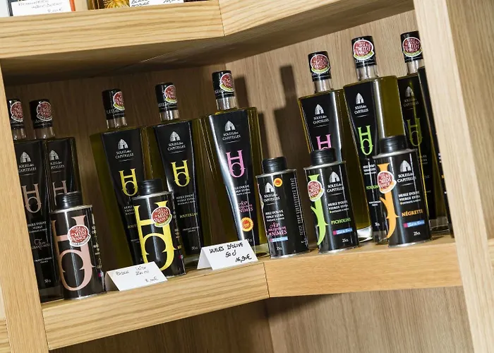 فندق Mas De Boudan 4*